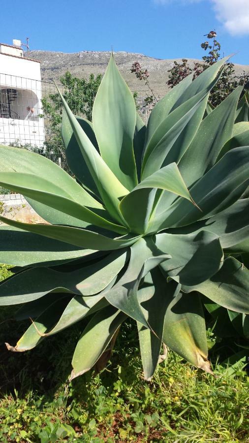 Karma B&B San Vito Lo Capo Kültér fotó